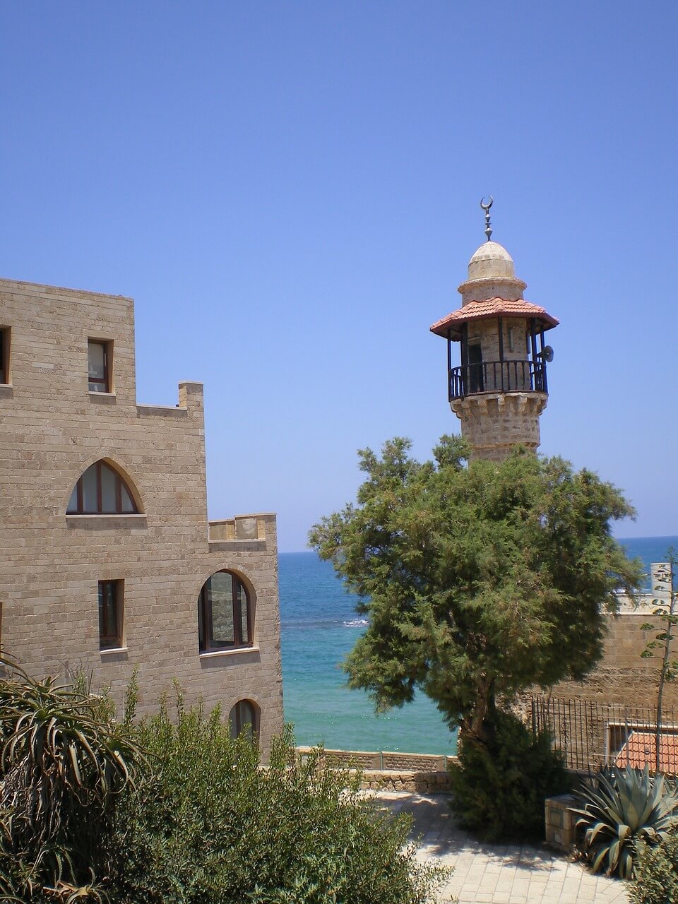 Scenic landscapes of Israel.