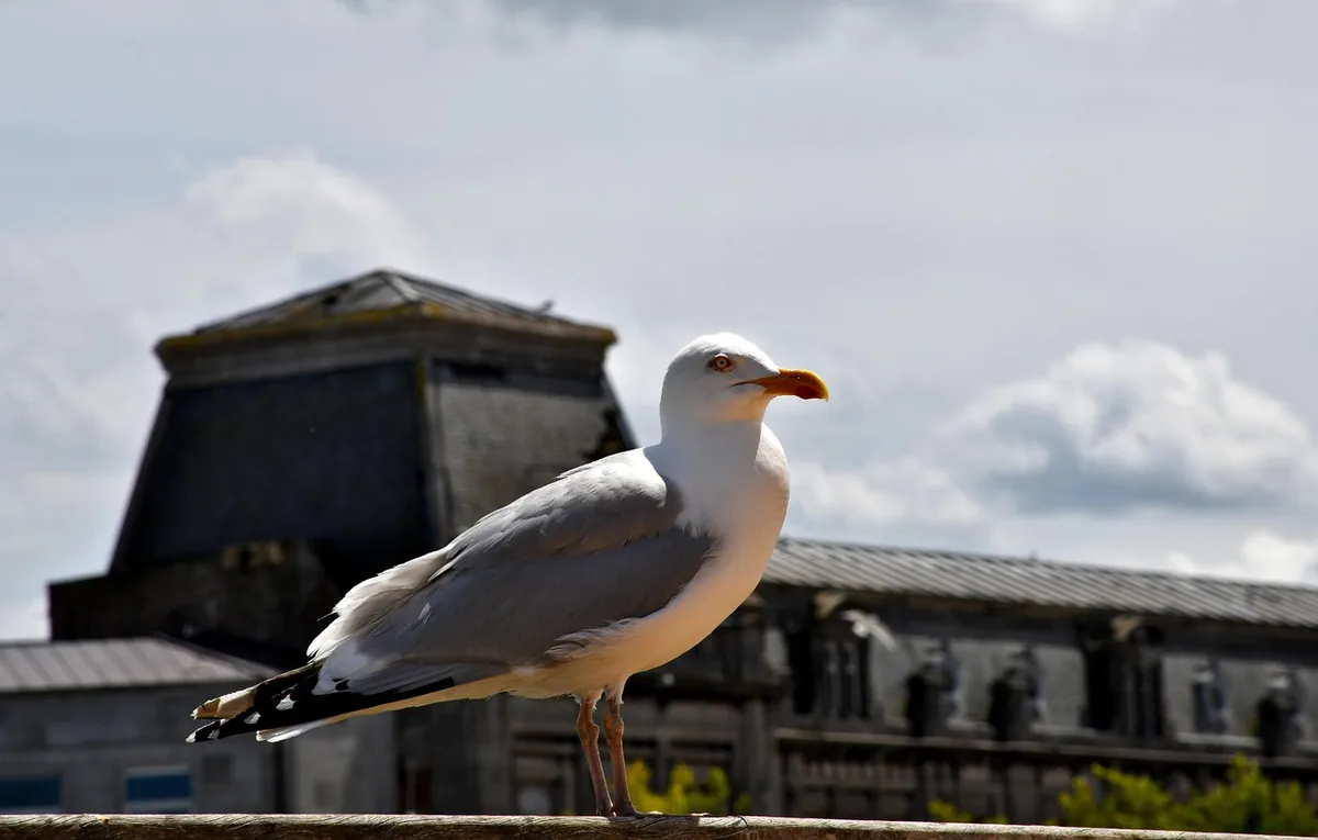 City picture of Ostend, Belgium - Last minute hotels
