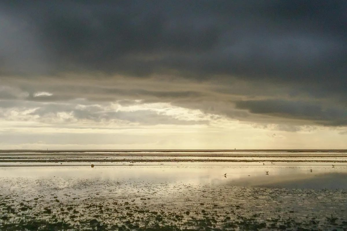 City picture of Esbjerg, Denmark - Last minute hotels