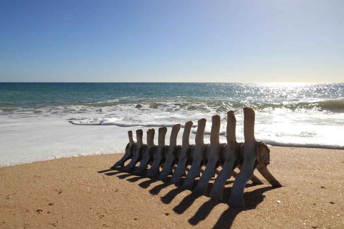 City picture of Faro, Portugal - Last minute hotels