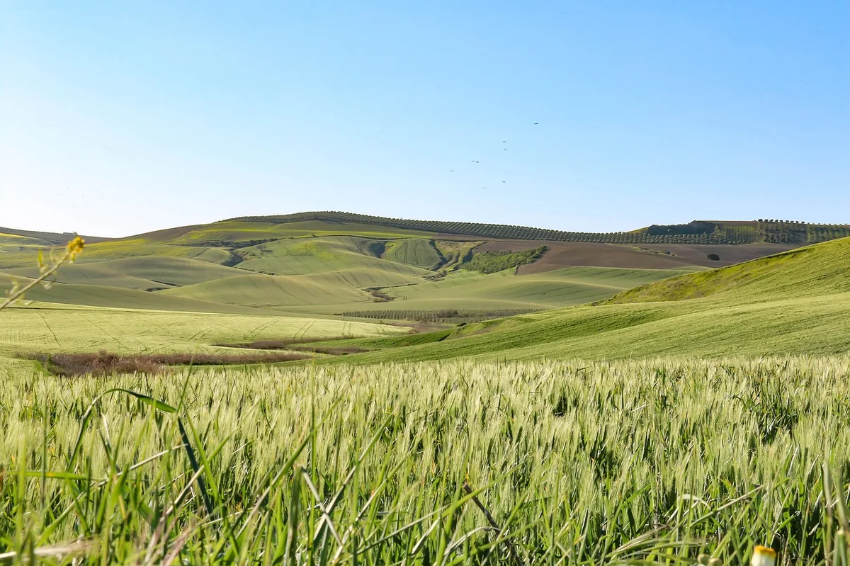 City picture of Cordoba, Spain - Last minute hotels